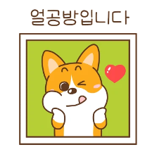 오픈톡에 뿅 나타난 웰시코기 이광복 씨