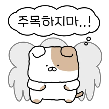관심 가져줘! 주목하진 말고! 얼룩댕댕이