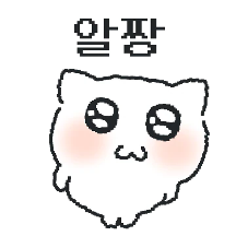 알짱냥