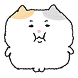 작심삼냥이