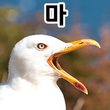 갱상도 끼룩티콘 2