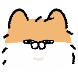 고앵님