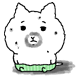 요상시런고양이