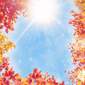 가을날의 감성톡