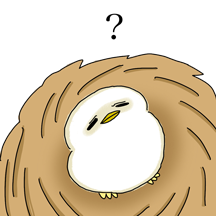 어딘가 억울한 새입니다만?!