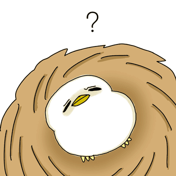 어딘가 억울한 새입니다만?!