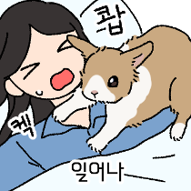 이모티콘 프리뷰