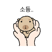 짱조구만 자글 도룽이