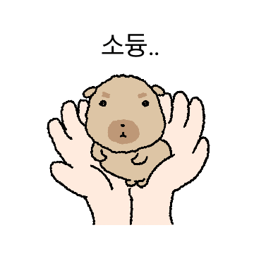 짱조구만 자글 도룽이