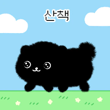 까만 포메 깜포!
