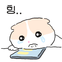 억울하게 생긴 고양