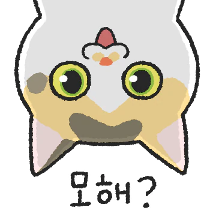 개냥이 꽁지