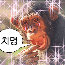 숭이 사진zip 2