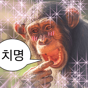 숭이 사진zip 2