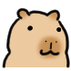 바라바라카피바라
