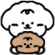 푸리와 포리