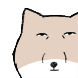 수상한 T벳여우