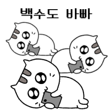 광냥이의 맑은 백수생활