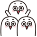 마짱구즈