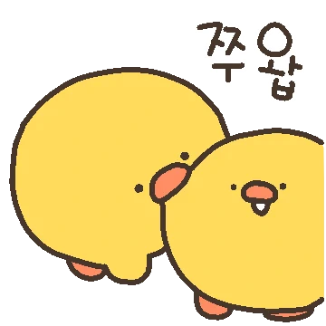 놀아죠 놀아죠 삐약!