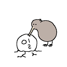 일하는 키위새