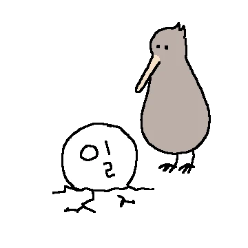 일하는 키위새