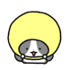 뽁실