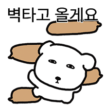 톡방에서 사는 아이라인 비숑