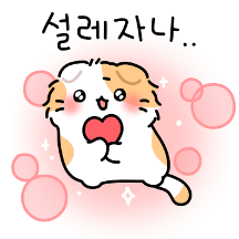 말랑뽀짝 고양이 커플4 (스코시티폴드)