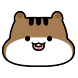 콩찌