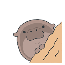 누가 봐도 하마