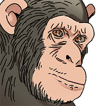 대화가 되게 안통하는 침팬지 2