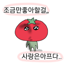 사 빠 토(사랑에 빠진 토마토걸)