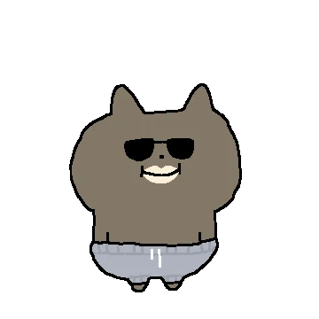 서핑고양이 탄냥이