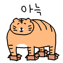 왕 큰 줄무늬 고양이