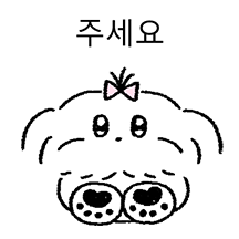 두 얼굴의 말티즈 4