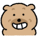 똥강아디