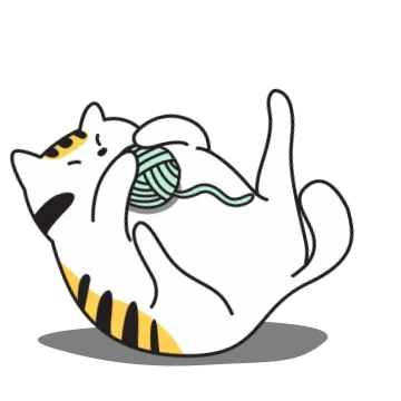 낭만고양이 감자의 일상