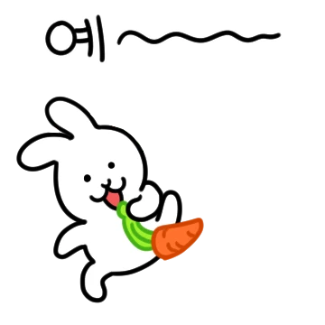 애교많은 흰 토끼