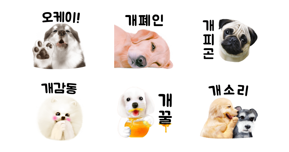 좋아좋아개좋아