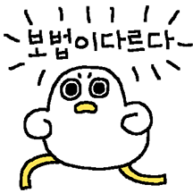 눈 땡그란 오리 4