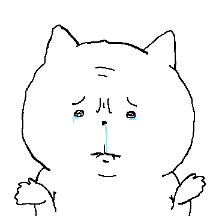 관심이 필요한 고양이
