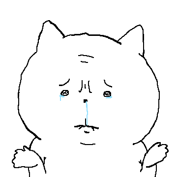 관심이 필요한 고양이