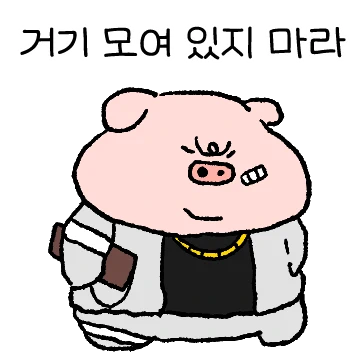 아는 돼지랑 곰이요(찡이랑 몽이)