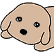 X개
