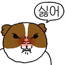 매운맛 시츄