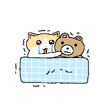 아깽이들
