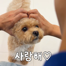 똑! 소리나는 토리의 하루