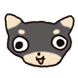 탄치와와