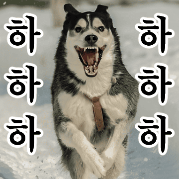 강아지 말말말